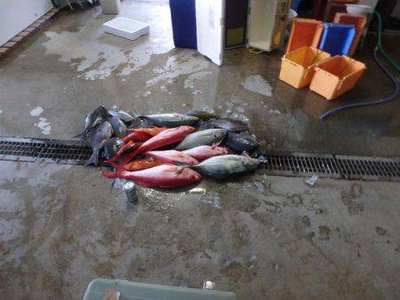 フィッシングハウス伊藤 釣果