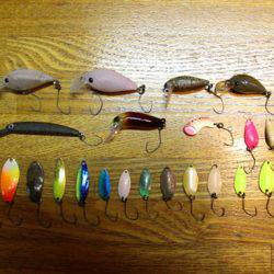 小菅トラウトガーデン 釣果