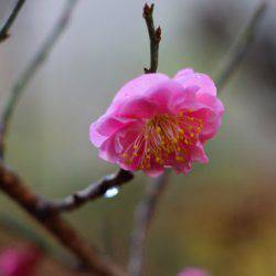 小菅トラウトガーデン 釣果