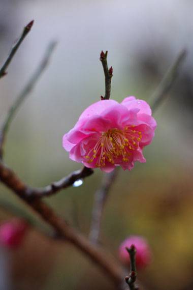 小菅トラウトガーデン 釣果