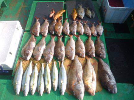 真祐丸 （しんゆうまる） 釣果