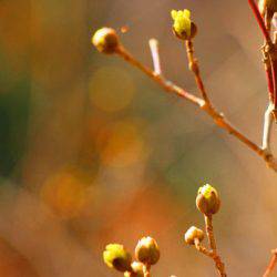 小菅トラウトガーデン 釣果