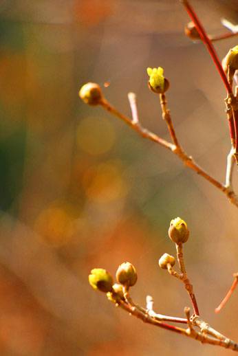小菅トラウトガーデン 釣果