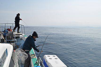 八海丸 釣果