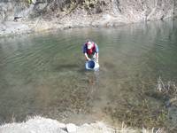 秩父フライフィールド 釣果