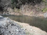 秩父フライフィールド 釣果