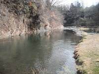 秩父フライフィールド 釣果