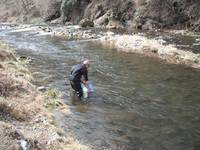 秩父フライフィールド 釣果