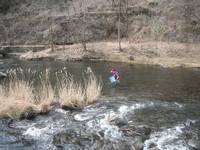 秩父フライフィールド 釣果