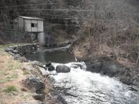 秩父フライフィールド 釣果