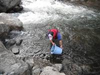 秩父フライフィールド 釣果