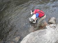 秩父フライフィールド 釣果