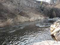 秩父フライフィールド 釣果