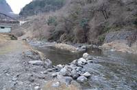 秩父フライフィールド 釣果