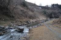 秩父フライフィールド 釣果