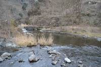 秩父フライフィールド 釣果