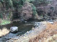 秩父フライフィールド 釣果