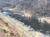 秩父フライフィールド 釣果