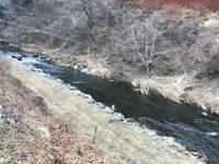 秩父フライフィールド 釣果