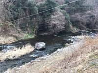 秩父フライフィールド 釣果