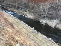 秩父フライフィールド 釣果