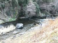 秩父フライフィールド 釣果