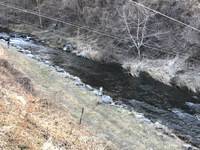 秩父フライフィールド 釣果