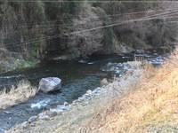 秩父フライフィールド 釣果