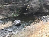 秩父フライフィールド 釣果