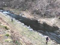 秩父フライフィールド 釣果
