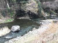 秩父フライフィールド 釣果