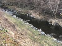 秩父フライフィールド 釣果