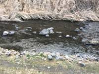 秩父フライフィールド 釣果