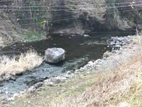 秩父フライフィールド 釣果