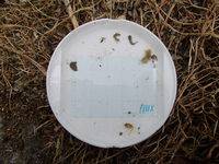 秩父フライフィールド 釣果