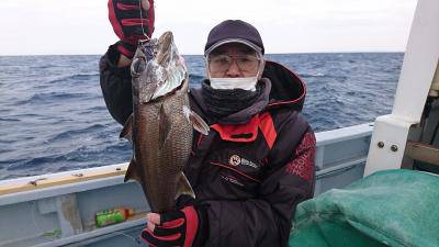 かねい丸 釣果