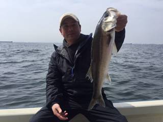 Ｒｕｓｈ（ラッシュ） 釣果