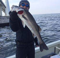 Ｒｕｓｈ（ラッシュ） 釣果