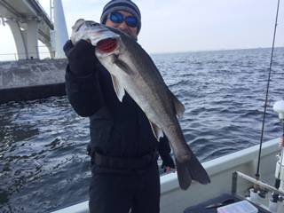 Ｒｕｓｈ（ラッシュ） 釣果