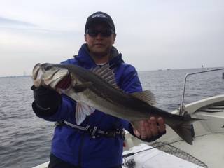 Ｒｕｓｈ（ラッシュ） 釣果