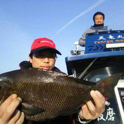 天竜丸 釣果