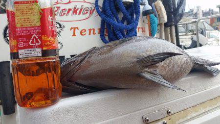 天竜丸 釣果