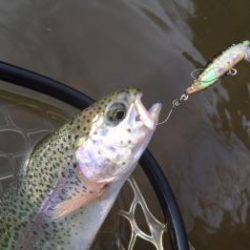 フィッシング サンクチュアリ 釣果