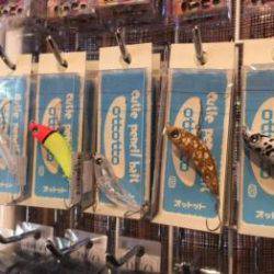 フィッシング サンクチュアリ 釣果