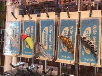 フィッシング サンクチュアリ 釣果