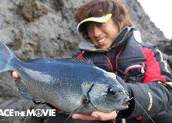 PEACE THE MOVIE「グレ釣り最高!!!」東海地方 静岡県・南伊豆の旅（後編）/平和卓也(790)【デュエル】