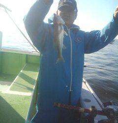 金沢八景鴨下丸 釣果