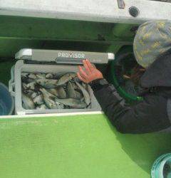 金沢八景鴨下丸 釣果