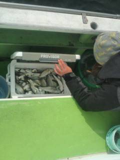 金沢八景鴨下丸 釣果