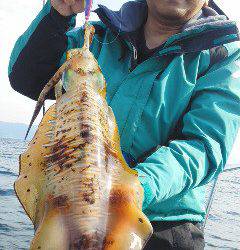 シースナイパー海龍 釣果